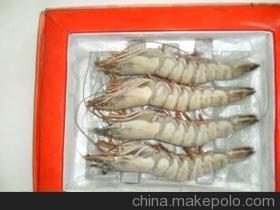 優質鮮活龍蝦與水產批發，廠家直銷保障品質