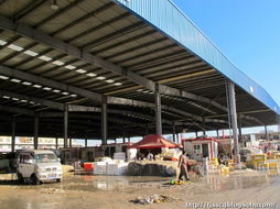 春節前的水產品農貿批發市場 年味、忙碌與希望的匯聚地